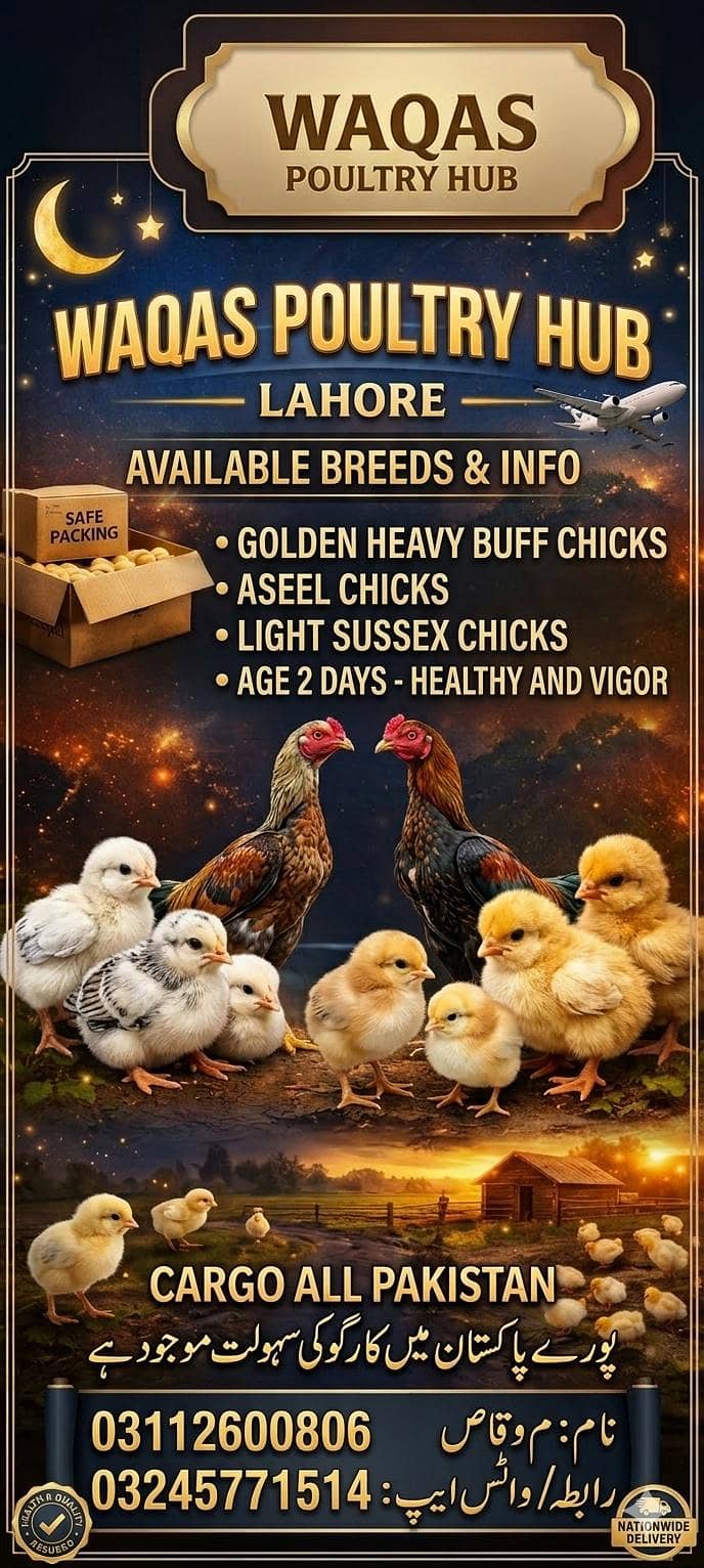 chicks available 0