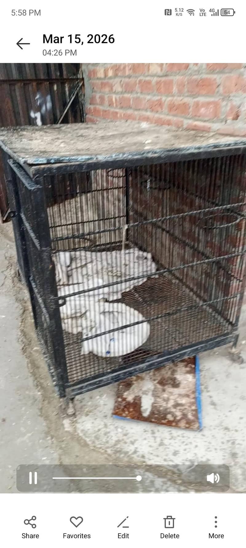 یہ کیج فور سیل ہے یہ تقریبا چار فٹ اس کی لمبائی ہے تین فٹ اونچائی ہے 1