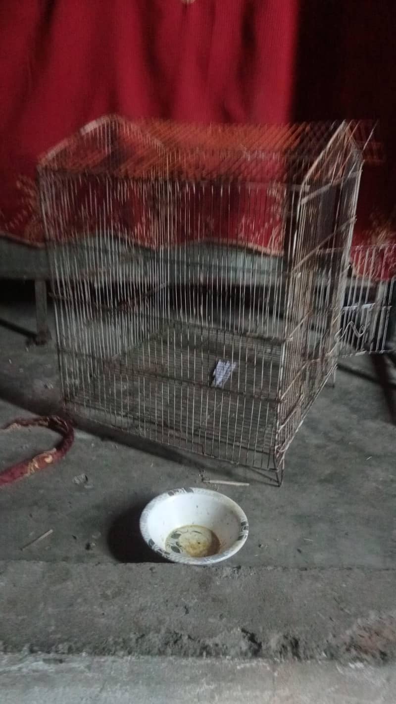 یہ کیج فور سیل ہے یہ تقریبا چار فٹ اس کی لمبائی ہے تین فٹ اونچائی ہے 3