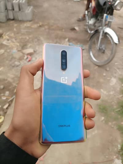 one plus 8.12. . 256