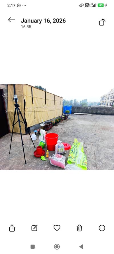 Birds Aviary For Sale