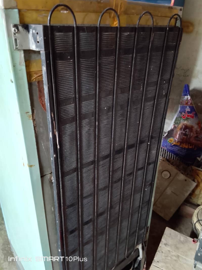 philaps small size 6