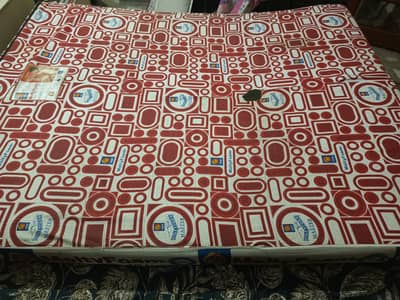 MoltyFoam 6 inch Queen Size