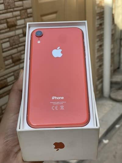 iPhone XR