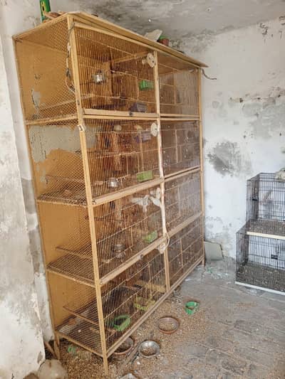 Birds cage/ parrots cage