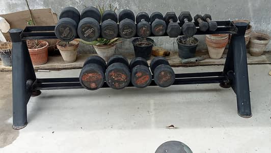 Professional Grade Rubber Dumbest (156 KG Total) with heavy duty rack.