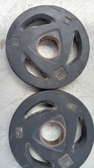 Professional Rubber coated Weight Plates (165KG Total) with tree rack.