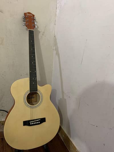 TAYSTE MODEL T-404-N BRAND NEW GUITAR