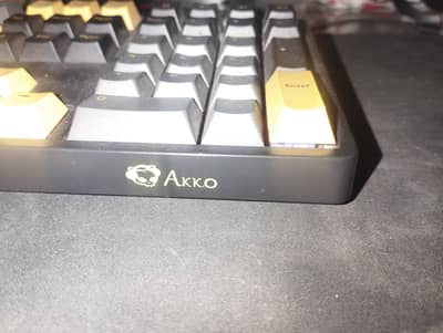Akko Mechanical keyboard (100%)