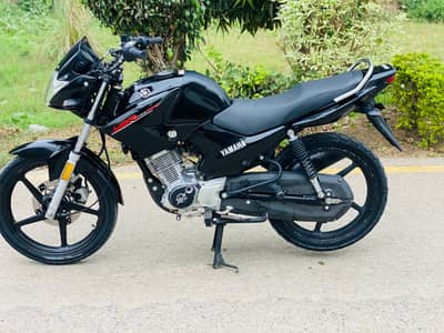 Yamaha YBR 2019 Model Antique