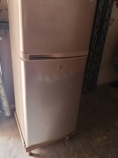 10_by_10 condition Haire