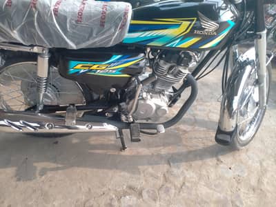 2026 letter cuta hoia ha  03270951095