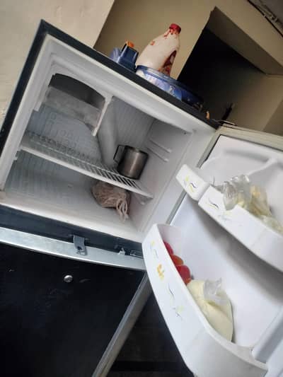 Waves warranty Mai Medium size