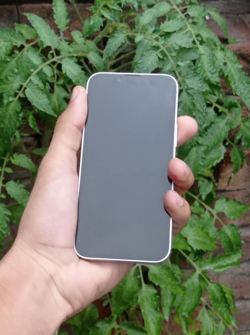 iPhone 13 mini 1