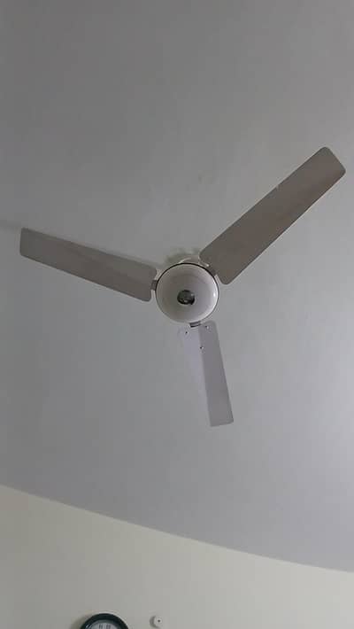 Fan for sale