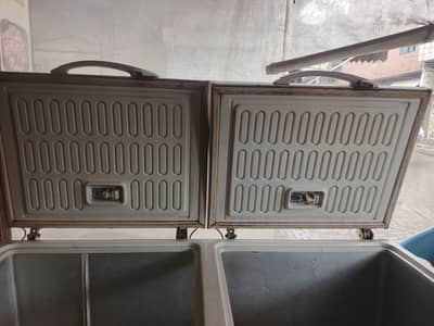 Double door Full Size Freezer