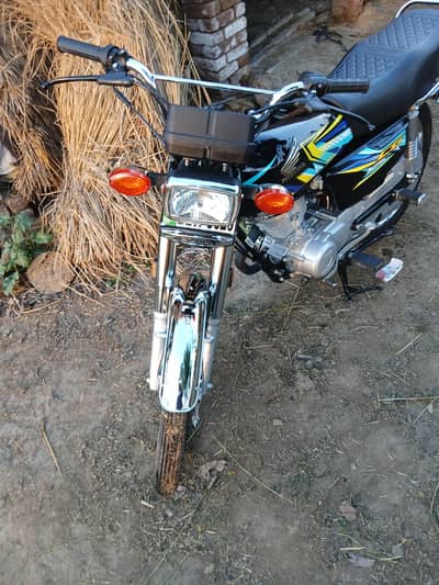 contact only watasapp