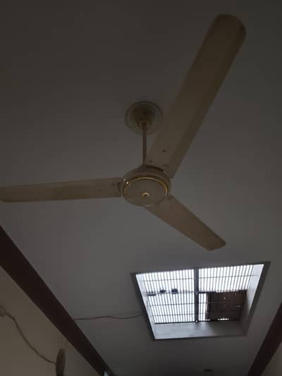 Pak Fan oginal coper