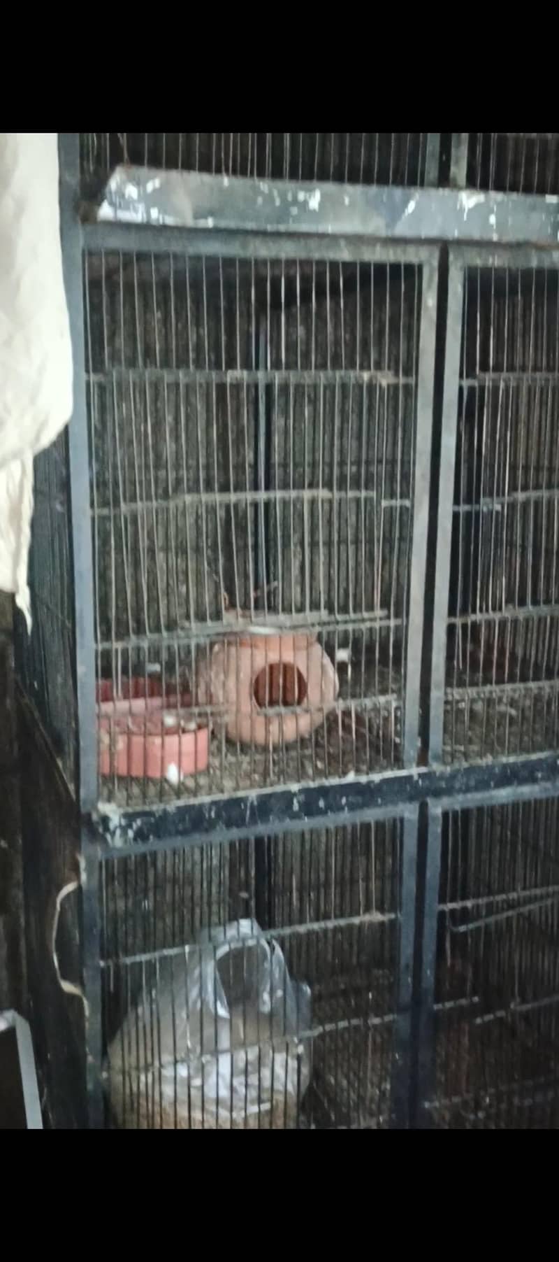 8 portion cage 1