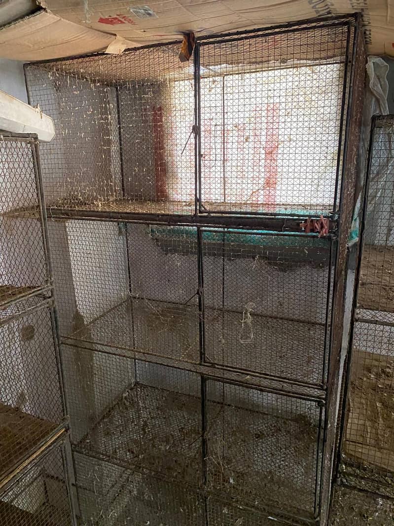 cages 4