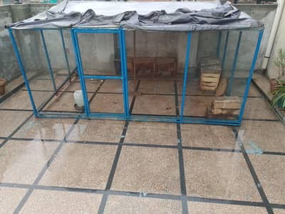 Iron Hens/Ducks Cage