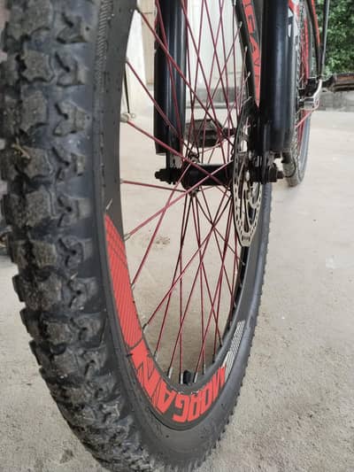 Morgan Bicycle Condition 10/10