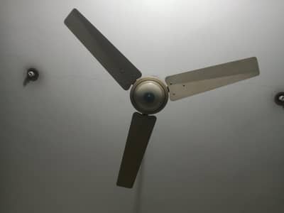 Scilling Fans Total 8 Sale in Good Condition