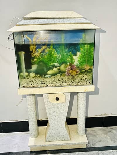 Fish aquarium