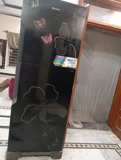 gress glass door extra large fridge