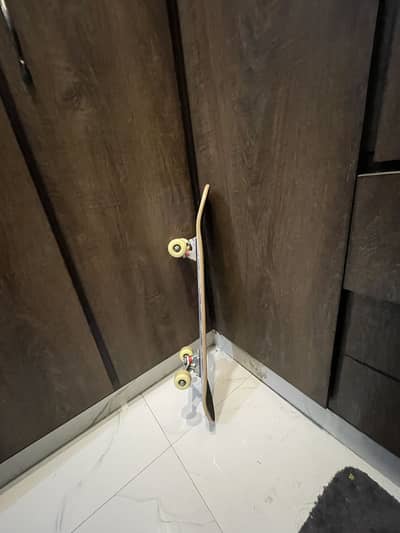 Professional skateboard for adults