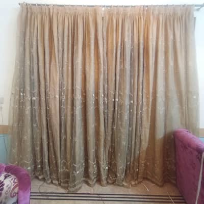 golden Curtains