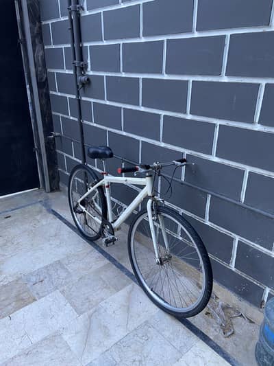 Cyma primer - Japanese hybrid for sale.