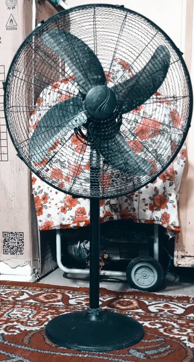 Pedestal fan