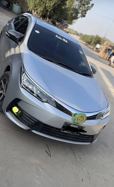 Carola Gli AGS 2018 B2B