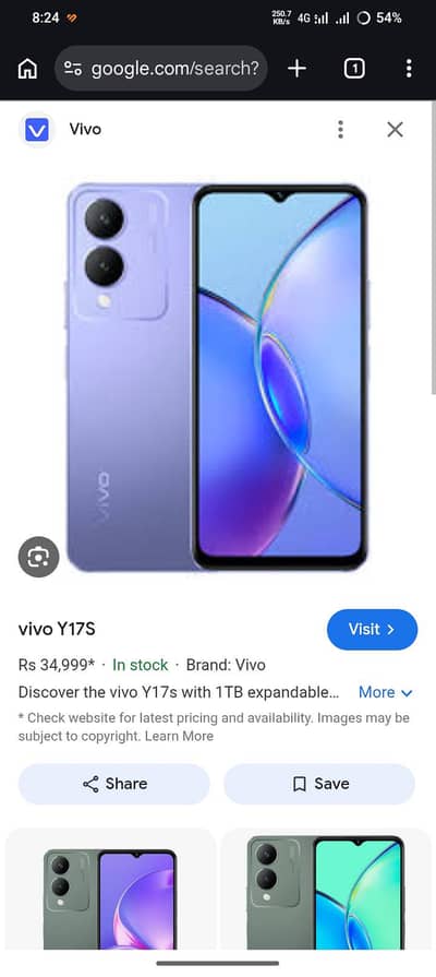 Vivo y17s