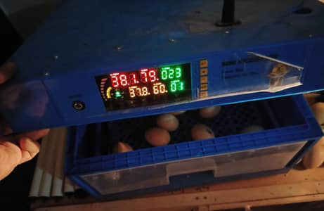 36 eggs incubator