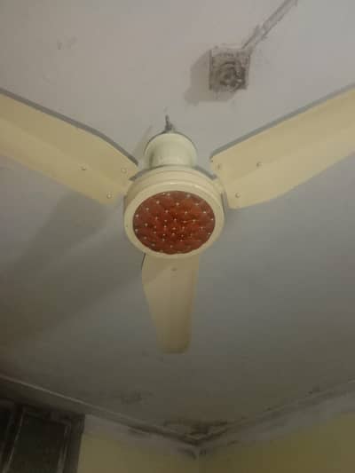 celling fan only one piece