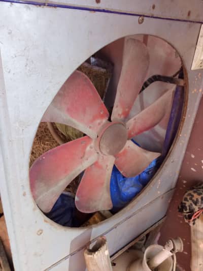 urgent sale need money 03164992772