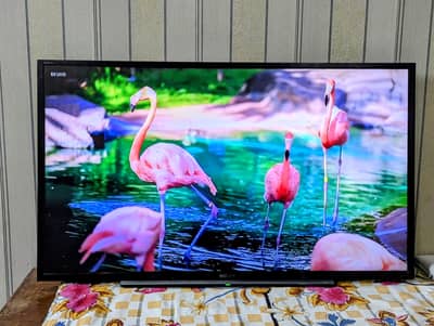Sony Bravia 42 inches LED