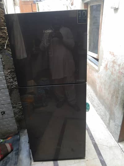 haier medium size refrigerator
