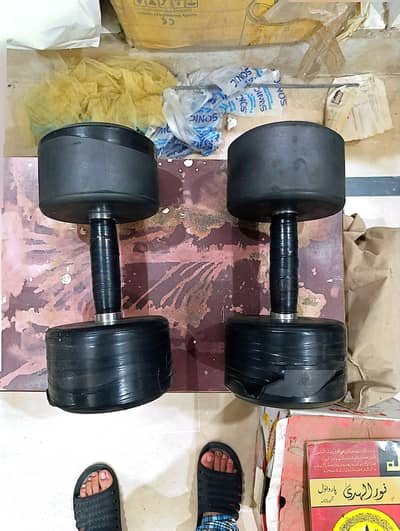 14 kg dumbbells