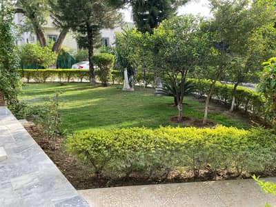 BIG LAWN HOUSE FOR RENT IN F-7