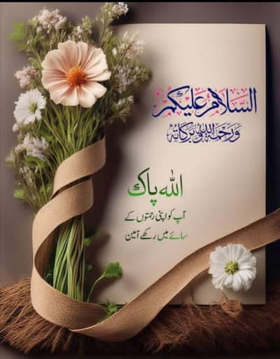 house work helper Lady