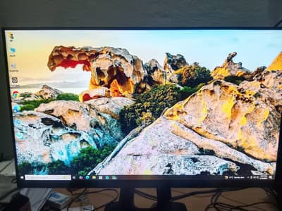 165 hz gaming monitor bbest for high end gaming see pics all detail in