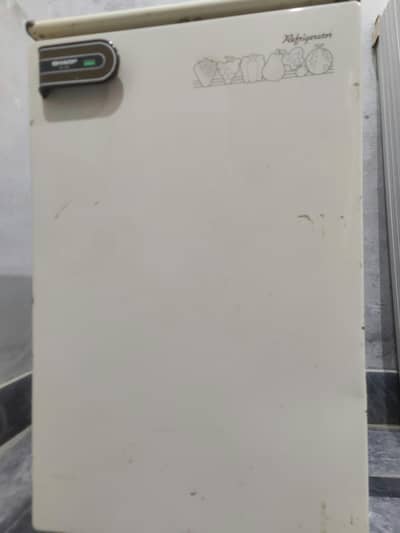 Mini Home Fridge| Freezer | 220V