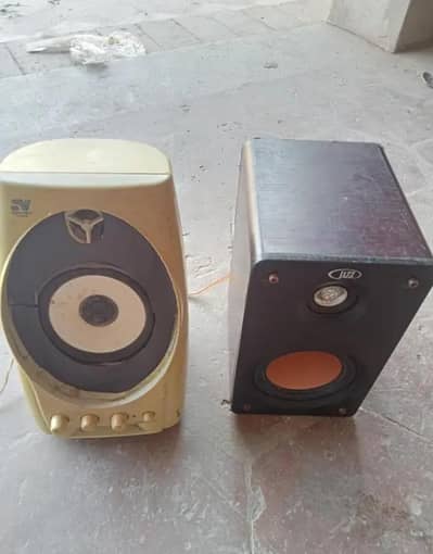 Amplifier speaker