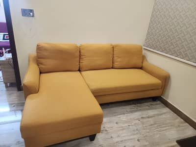 Home Box Saudi Arabian Brand Sofa cum Bed