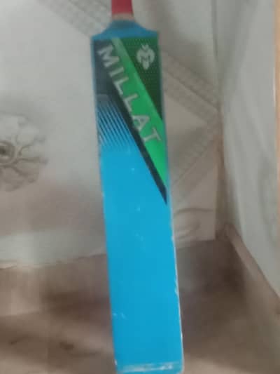 cricket bat