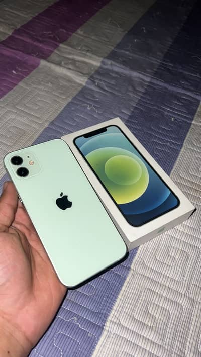 iphone 12 Pta approved