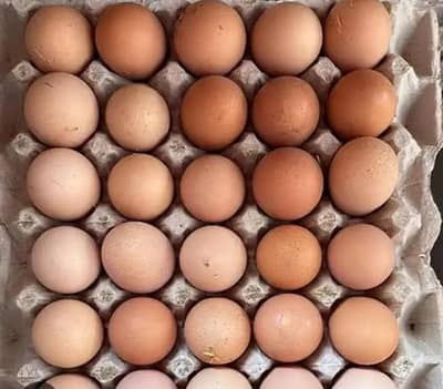 100% Desi Hen Eggs